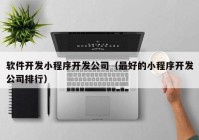 软件开发小程序开发公司（最好的小程序开发公司排行）